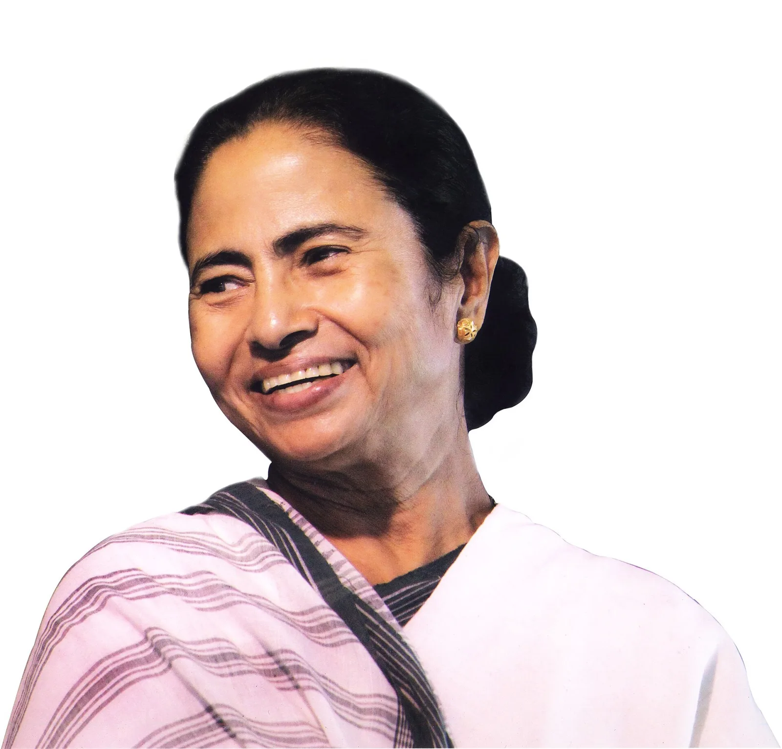Chief ministerial portrait of Mamata Banerjee, chief minister of West Bengal.